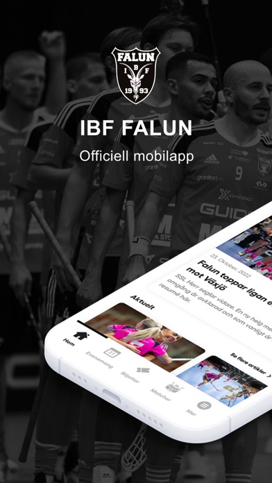 IBF Falun Screenshot