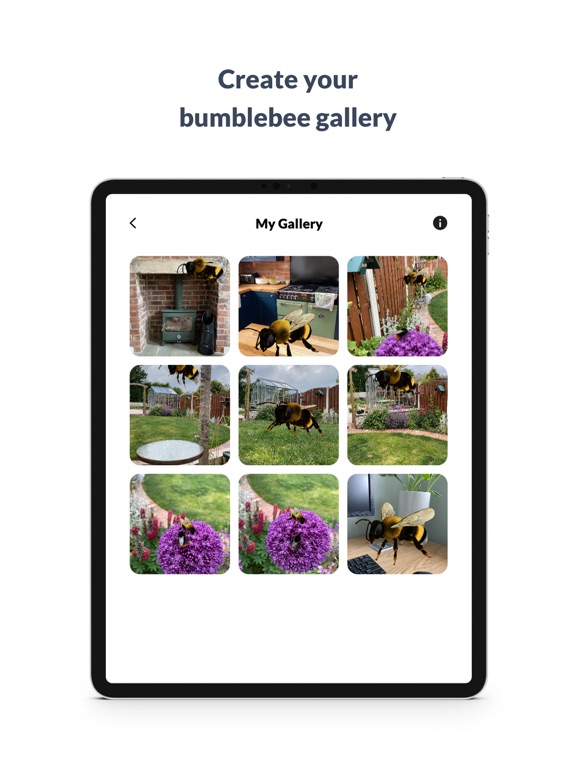 What’s that bumblebee iPad screenshot