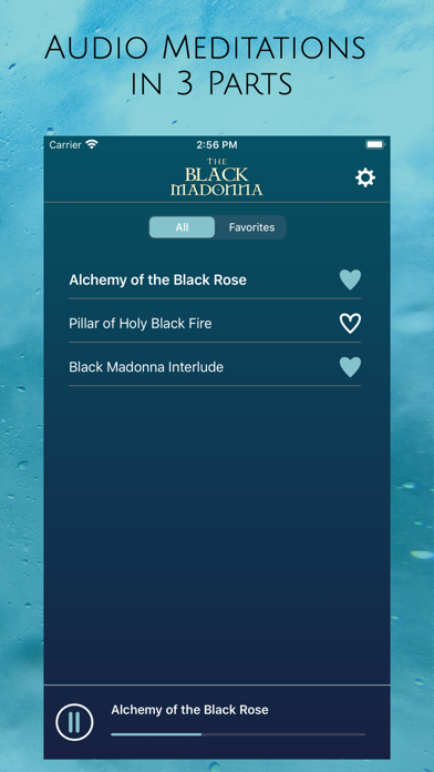 The Black Madonna Screenshot