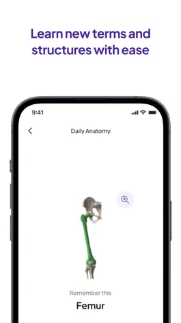 Game screenshot Daily Anatomy Flashcards hack