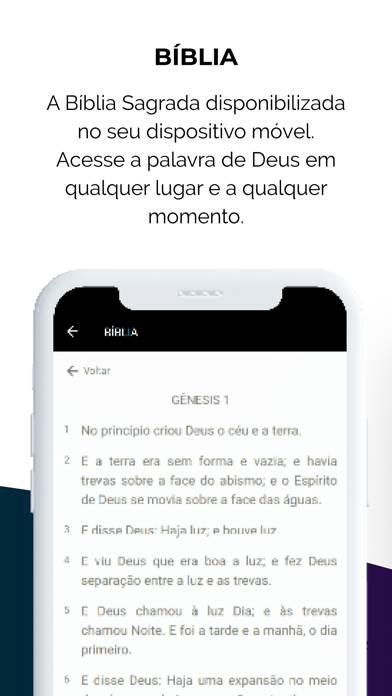 Videira São Paulo Screenshot