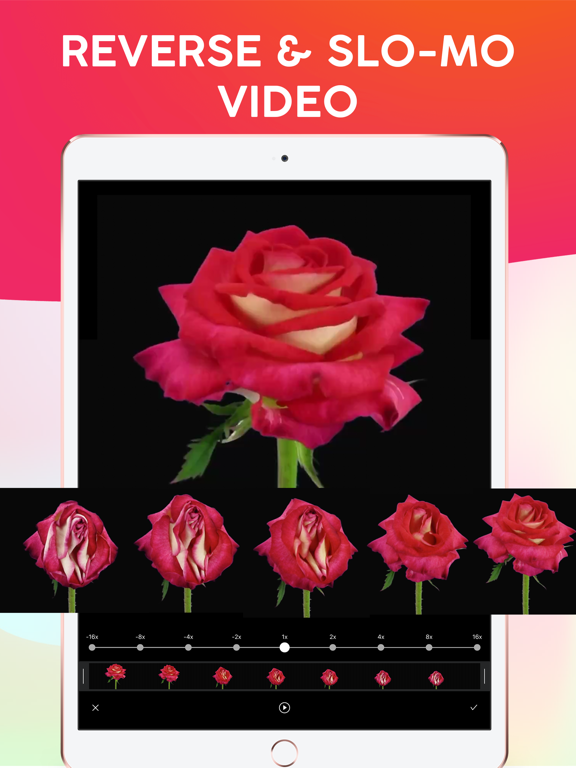 Reverser Camera Loop Repeator iPad screenshot