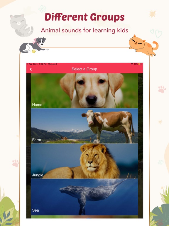 Screenshot #5 pour Animal Sounds for Kids.!