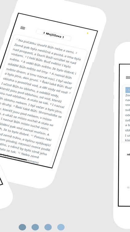 Česká bible (Czech)