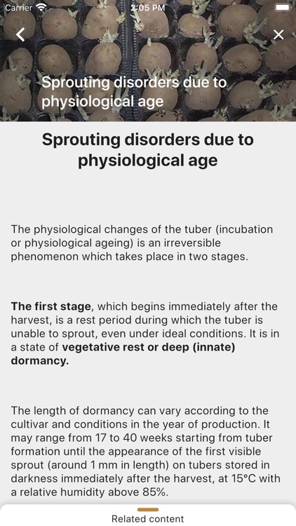 Di@gPot screenshot-4