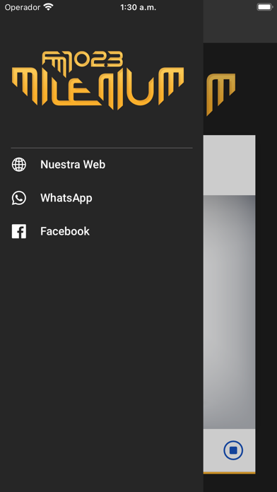 Milenium FM 102.3 Screenshot