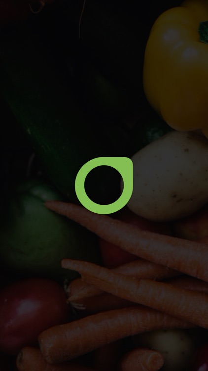 Titos Pizza Bad Oeynhausen