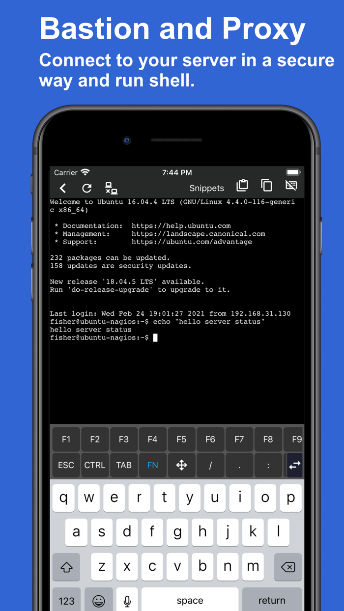 ServerDog Status Terminal