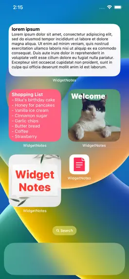 Game screenshot Widget Notes Home Lock Screen mod apk