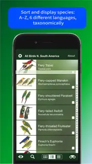 all birds north. south america problems & solutions and troubleshooting guide - 2
