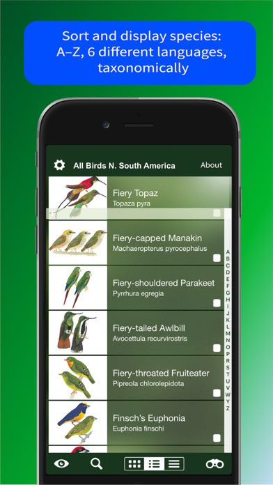 All Birds North. South America Screenshot