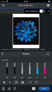epson print layout iphone screenshot 2