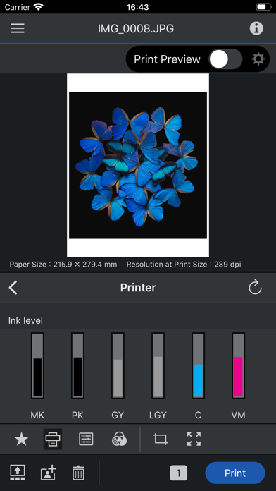 Epson Print Layout Screenshot