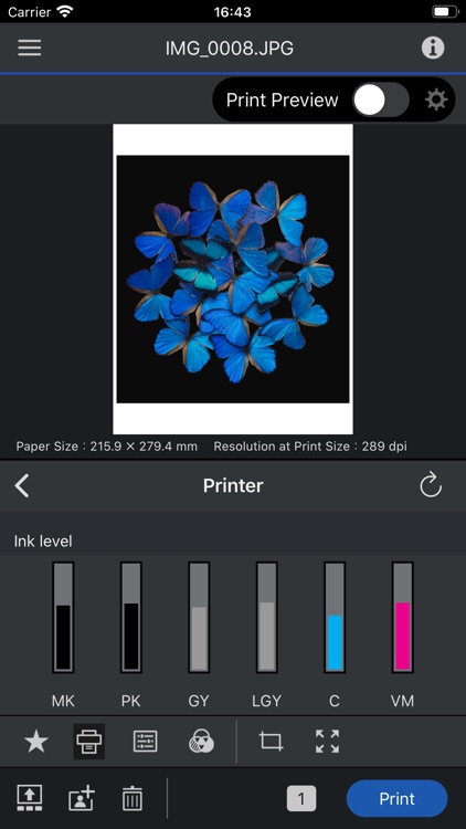 Epson Print Layout