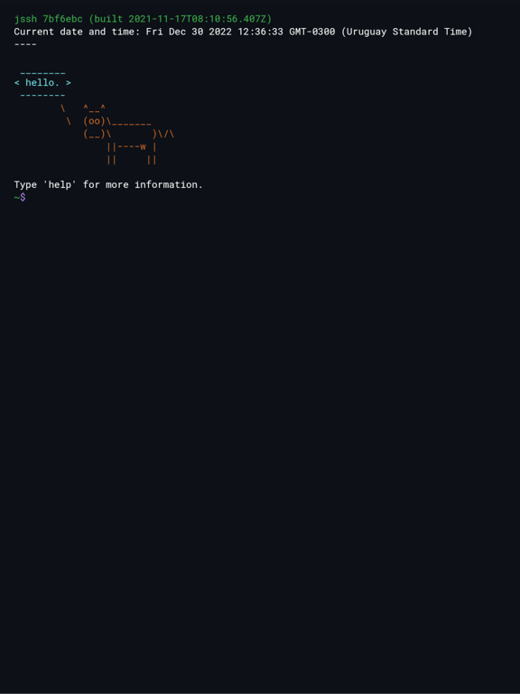 Terminal Emulator app