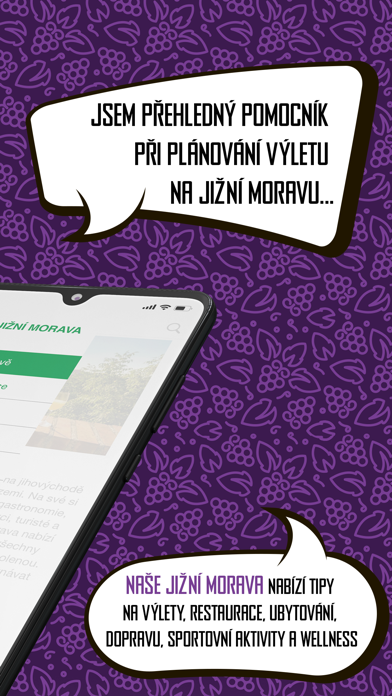 Naše Jižní Morava Screenshot