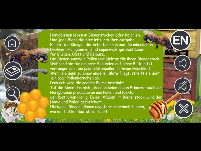 Kittys Garden Safari