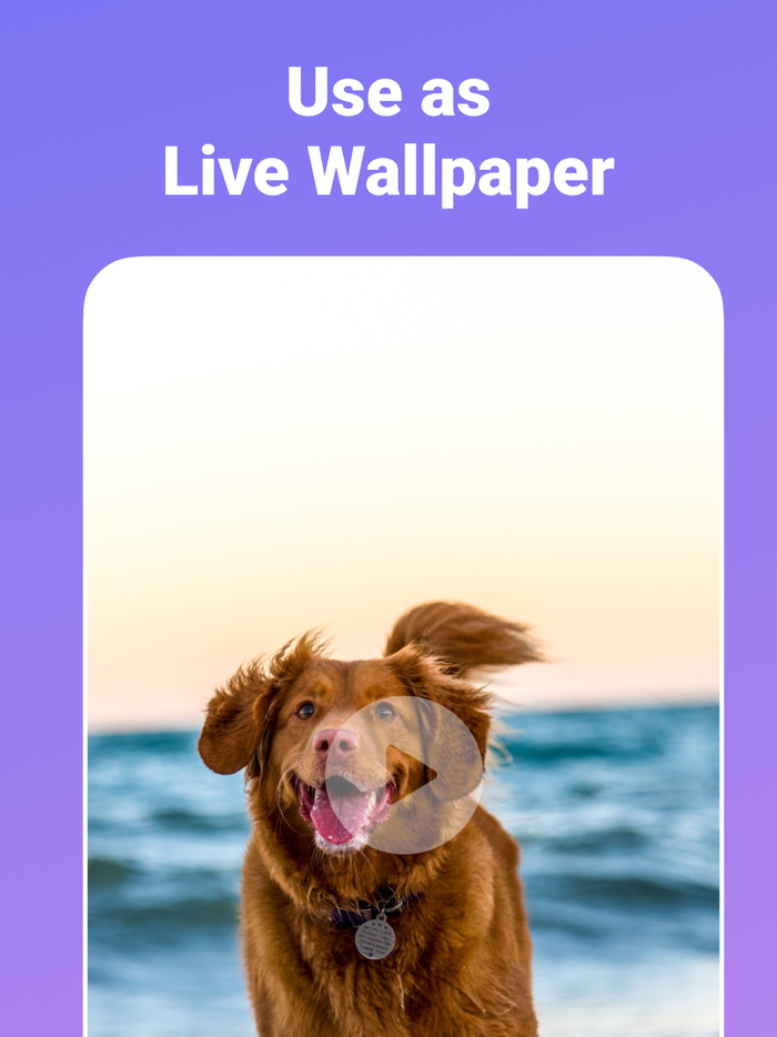 Video to GIF Maker  Converter