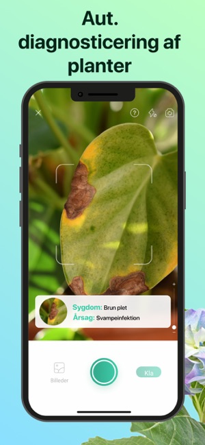 PictureThis: Blomster og Træer i App Store