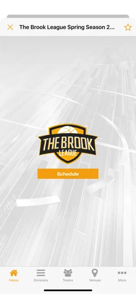 Game screenshot The Brook League hack