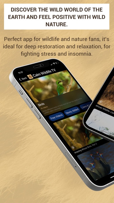 Calm Wildlife TV Screenshot