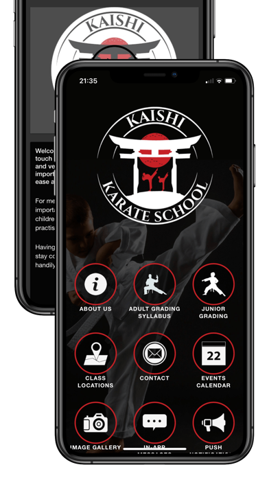 Kaishi Karate Screenshot