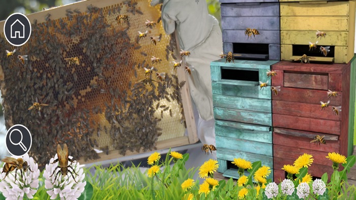 Kittys Garden Safari