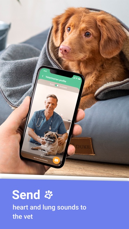 MyStetho Veterinary