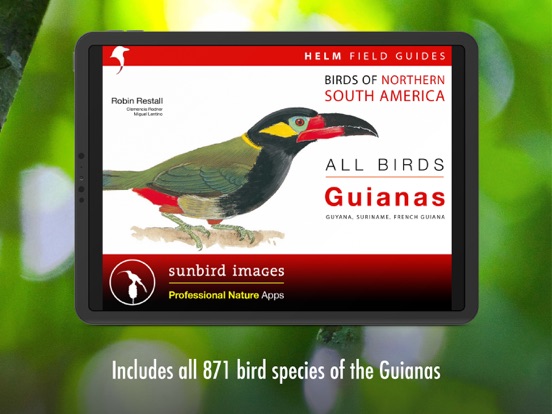 Screenshot #4 pour All Birds Guianas