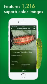 caterpillar id usa east coast iphone capturas de pantalla 3