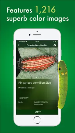 Caterpillar Id USA East Coast iPhone image 3