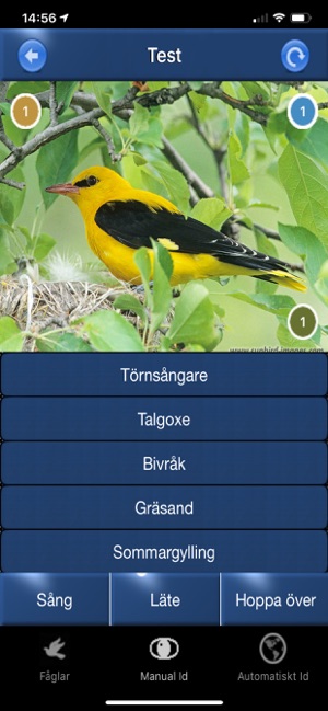 Fågelsång Id - fåglar(圖3)-速報App