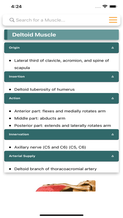 Orthopedic Limbs Anatomy Screenshot