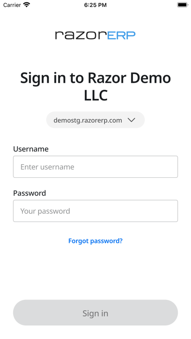 RAZOR ERP Screenshot
