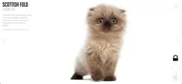 Game screenshot Puppies and Kittens apk