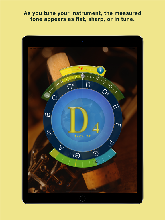 Screenshot #4 pour Concert Pitch Instrument Tuner