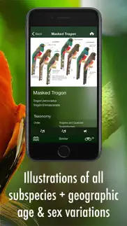 all birds guianas iphone screenshot 3