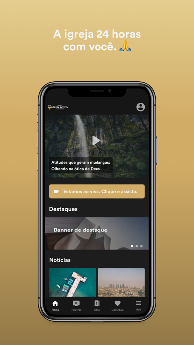 PIB Montenegro Screenshot