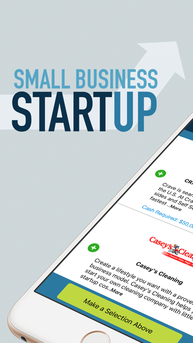 Small Business Startup Screenshot