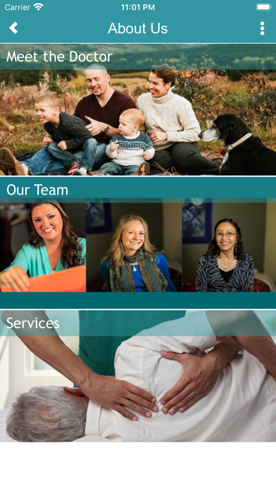Metro Chiropractic Screenshot