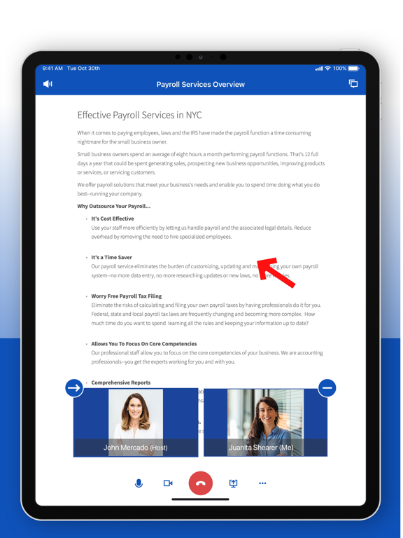 Dynamic Tax & Accounting iPad screenshot 4 - Business app