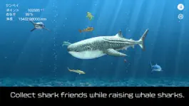 Game screenshot whale shark that grows calmly mod apk