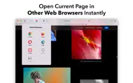 Switch Browser for Safari iphone bilder 0