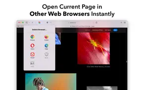 switch browser for safari iphone capturas de pantalla 1