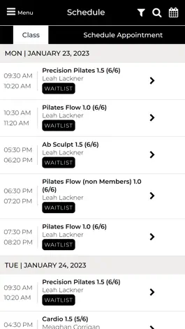 Game screenshot Precision Sculpt Pilates apk