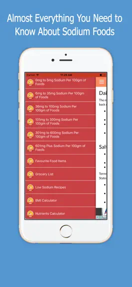 Game screenshot Low Sodium Foods mod apk