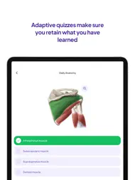 Daily Anatomy Flashcards ipad bilder 3
