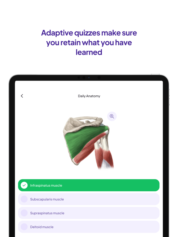 Daily Anatomy Flashcards iPad screenshot 4 - Medical app