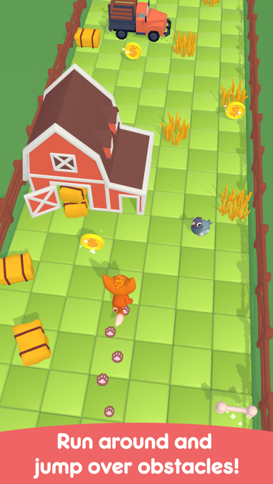 Cat & Dog Runaway Screenshot