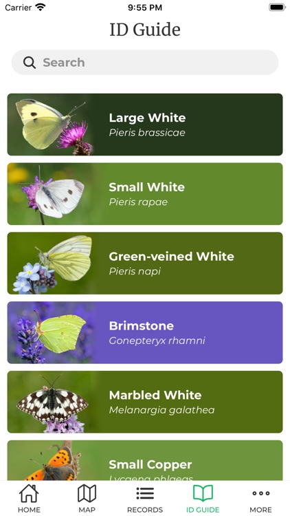 Big Butterfly Count screenshot-4